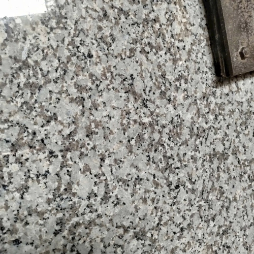Trắng xanh Tây ban Nha 