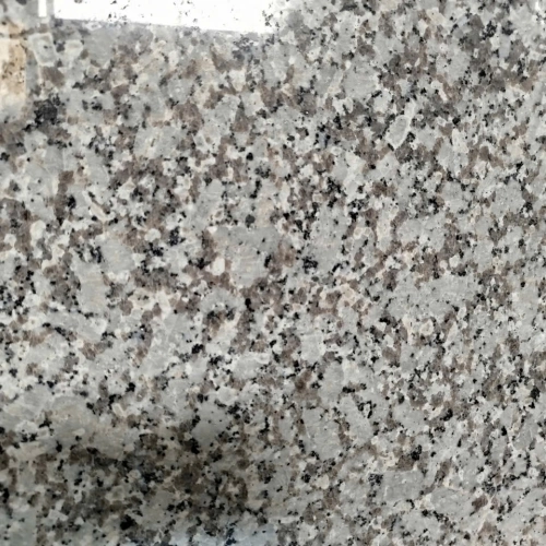 Trắng xanh Tây ban Nha 