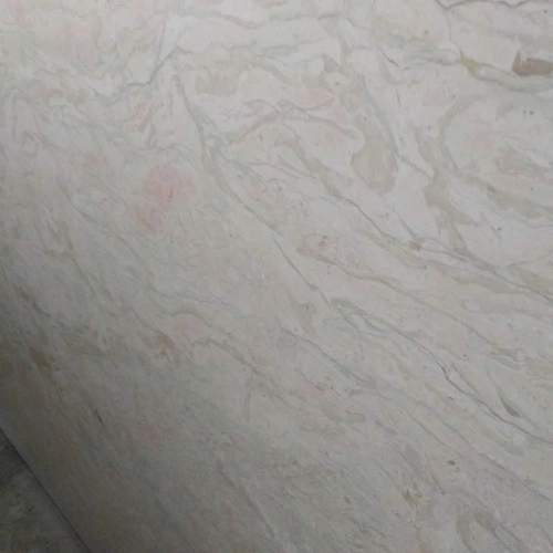 Trắng vỏ sò 